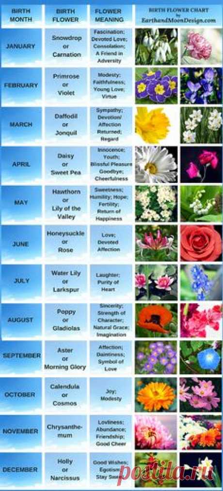 Рождения Цветы для каждого месяца: