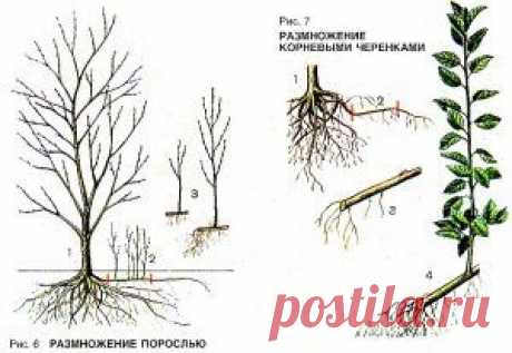 Товары для дома и сада: 6 полезных вещей