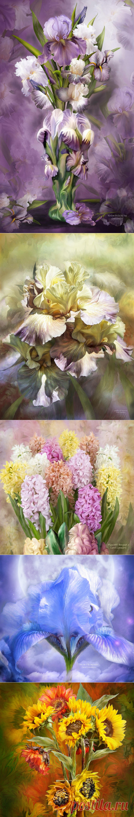 Цветы, излучающие свет... Цифровая живопись художницы Carol Cavalaris (США)