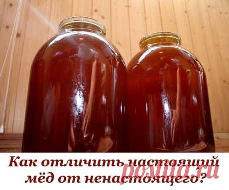 Как отличить настоящий мёд от ненастоящего?