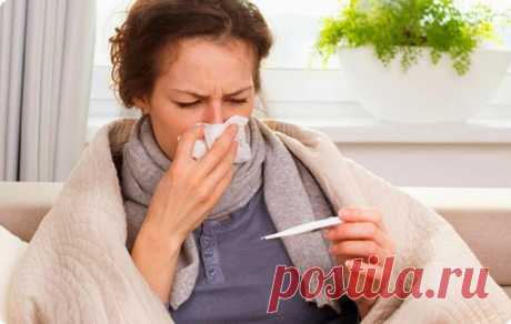 Как быстро вылечить простуду? Эффективная профилактика