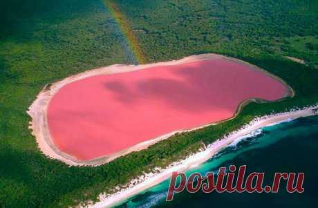 Розовое озеро в Австралии.