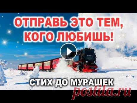 ✅ДО СЛЁЗ КАК ТРОГАТЕЛЬНО! ДОБРОЕ УТРО! С Добрым Утром! Музыкальная открытка | СТИХ Подписывайтесь на мой Канал! ❤️❤️❤️ Пишите Комментарии ! ❤️❤️❤️ Ставьте лайк❤️❤️❤️ ДОРОГИЕ ДРУЗЬЯ, ПО ВСЕМ ВОПРОСАМ ЗВОНИТЕ ПИШИТЕ МНЕ НА МОЙ ПЕРСОНАЛ...