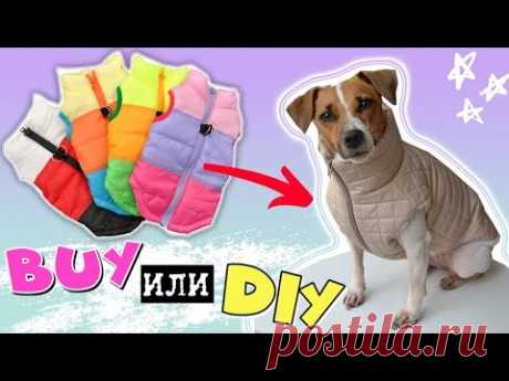 BUY или DIY? | ЖИЛЕТКА ДЛЯ СОБАК СВОИМИ РУКАМИ