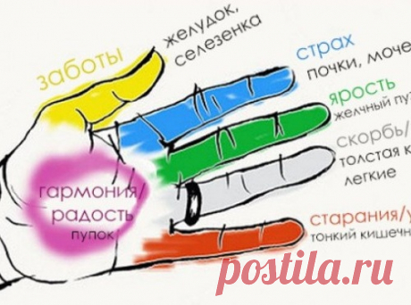 Как улучшить состояние определенных органов тела с помощью пальцев рук