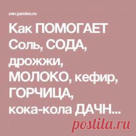 Как ПОМОГАЕТ Соль, СОДА, дрожжи, МОЛОКО, кефир, ГОРЧИЦА, кока-кола ДАЧНИКАМ в саду и ОГОРОДЕ | Лайфхак - Полезные советы | Яндекс Дзен