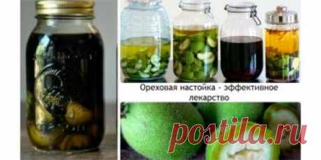 Настойка зеленого грецкого ореха | Полезные советы