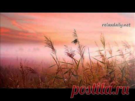 Background Music Instrumentals - relaxdaily - B-Sides N°1 - YouTube