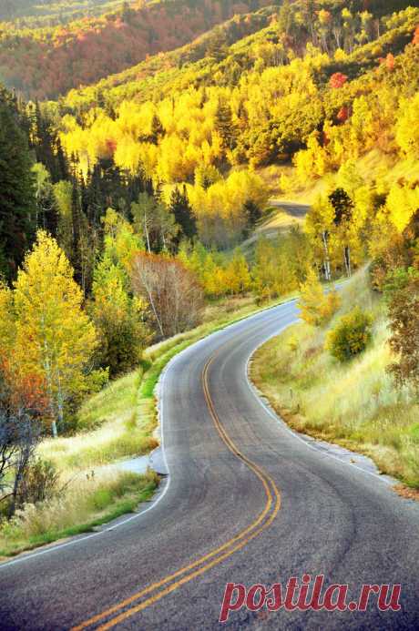 drxgonfly:
“ Highway near Alpine Loop Fall colors end of september 2011 {Explored} (by houstonryan)
”