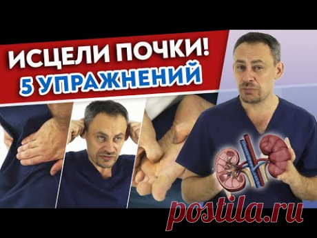 Эффективный комплекс упражнений для почек | Диагностика заболеваний почек