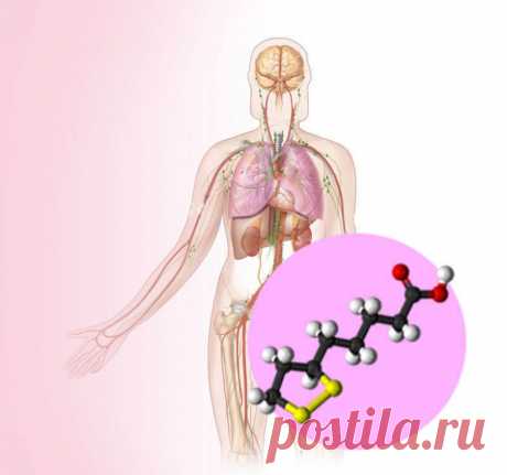 Для чего организму нужна альфа-липоевая кислота