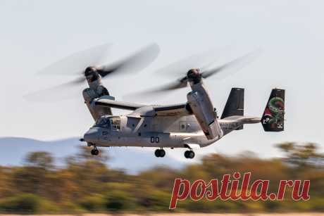 Фото Bell V-22 Osprey - FlightAware