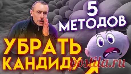 5 Методов Быстро Убрать Грибок Кандиду! Полезна кандида, или вредна!