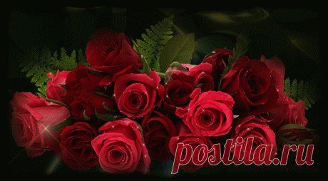 «Очень красивые розы фото - Цветы анимация - Анимационные бле» — карточка пользователя alcorobkin в Яндекс.Коллекциях
