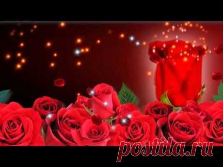 Футаж Розы HD Video Background Roses