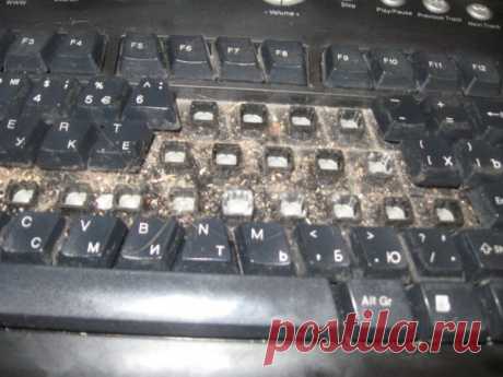 Как почистить клавиатуру компьютера и ноутбука.