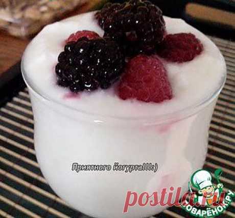 Йогурт из закваски лактина (lactina) - кулинарный рецепт