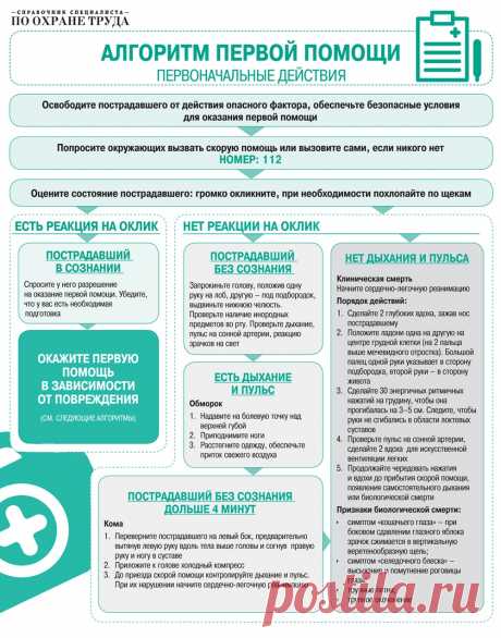 Обучение первой помощи под ключ: пошаговая инструкция, полный видеокурс и готовые алгоритмы – Справочник специалиста по охране труда № 4, апрель 2018