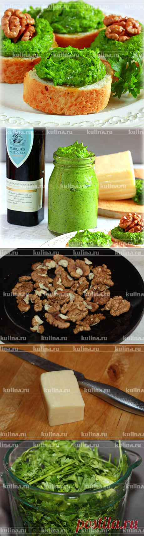 Песто из петрушки – рецепт приготовления с фото от Kulina.Ru