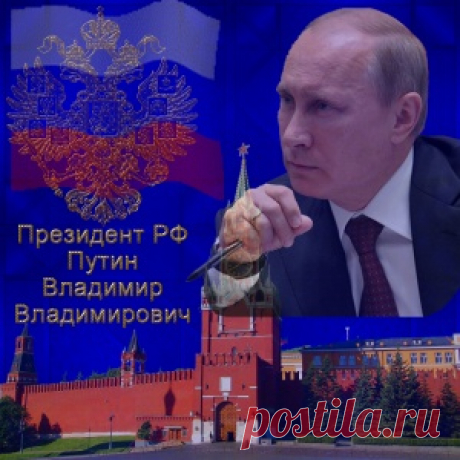 Обратиться к Президенту, когда других вариантов уже не осталось: все адреса и телефоны