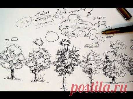 Pen &amp; Ink Drawing Tutorials | How to draw trees - YouTube