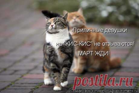 Мартовская котоматрица