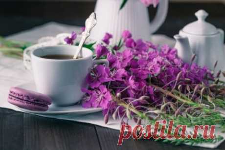 7 цветов, которые заваривают в чае с пользой и вкусом | Полезно (Огород.ru)