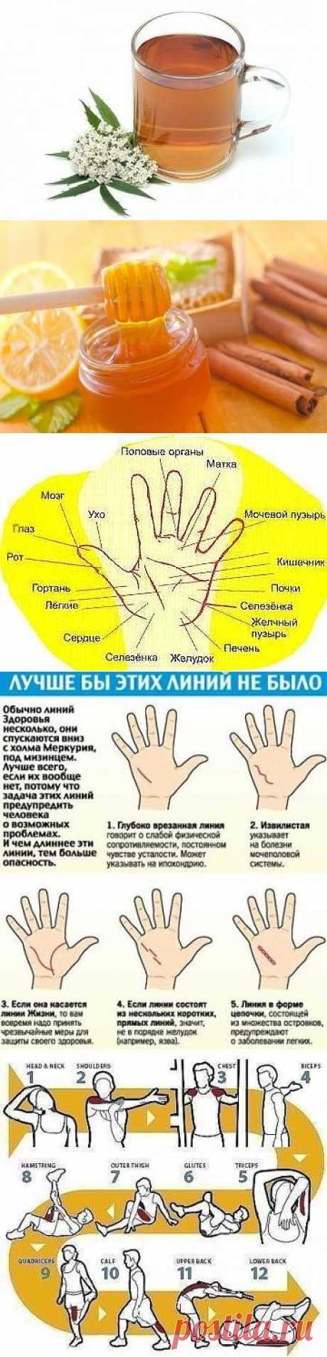 (56) Одноклассники