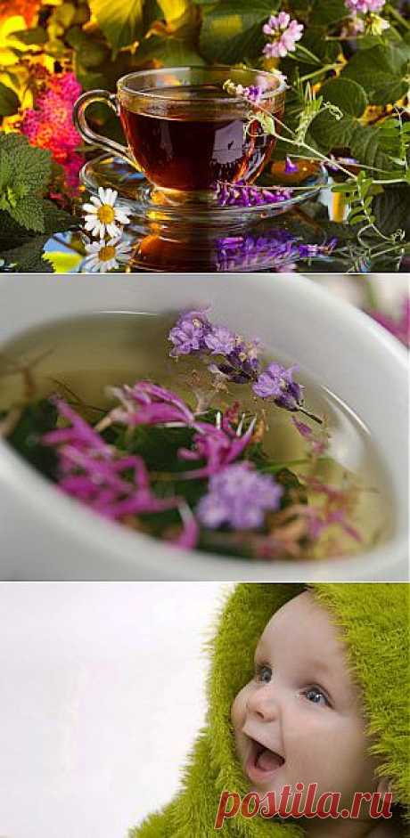 Травяной чай: виды, полезные свойства, рецепты. | Для дачников.ру