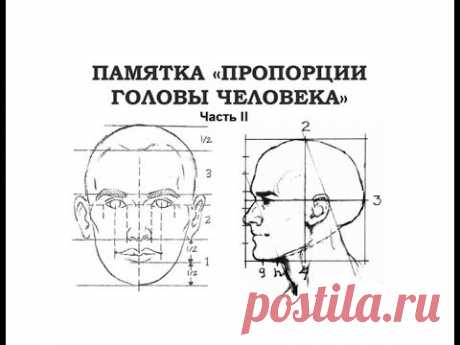 Пропорции головы. Часть 2. Поэтапное рисование портрета