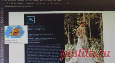 Adobe Photoshop CC 2018: инструкция по настройке и работе для новичков