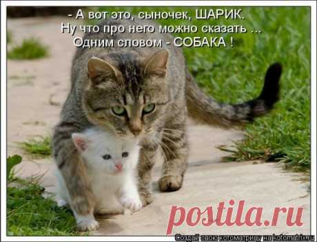 svetlana.2012com — «12.jpg» на Яндекс.Фотках