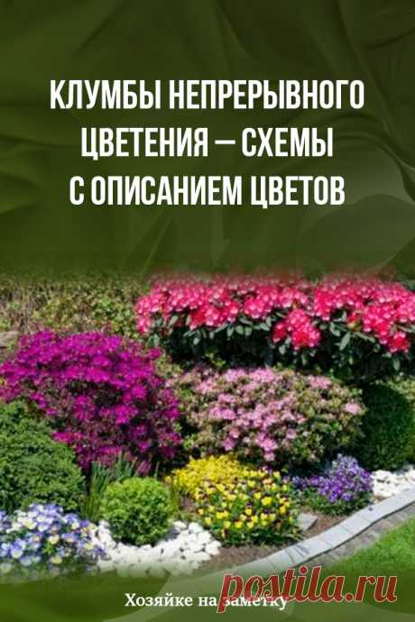 Клумбы непрерывного цветения – схемы с описанием цветов