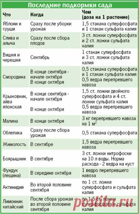 Подготовка плодовых деревьев к зиме — 6 соток