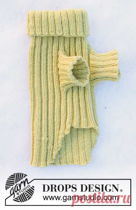 Knitted sweater for dog in DROPS Alaska. The piece is worked in rib. Sizes: XS - M.