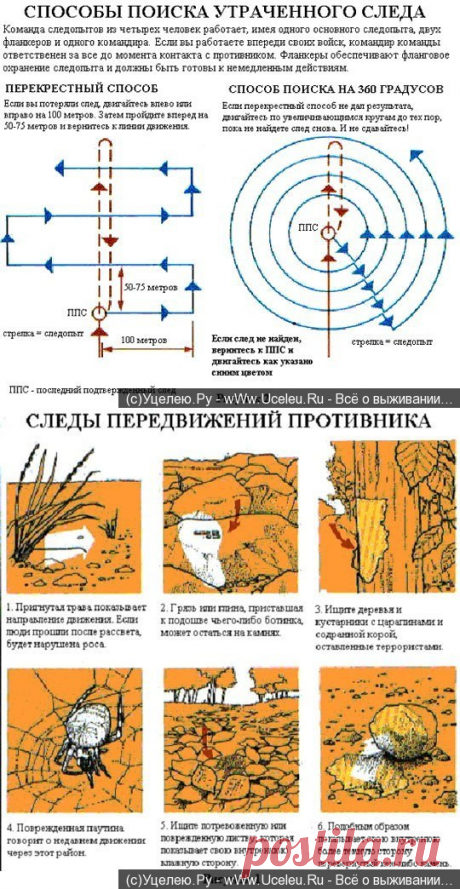 СЛЕДОПЫТСТВО. АЗЫ