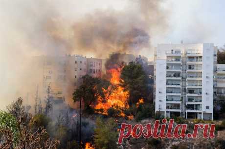 Яростные пожары в Израиле. | Чёрт побери