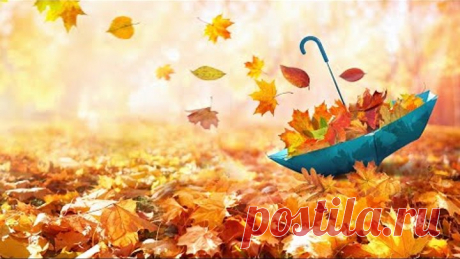 가을 속 감미로운 아침음악 3시간 🎵 힐링음악, 요가음악, 명상음악, 스트레스해소음악 (Autumn Life)