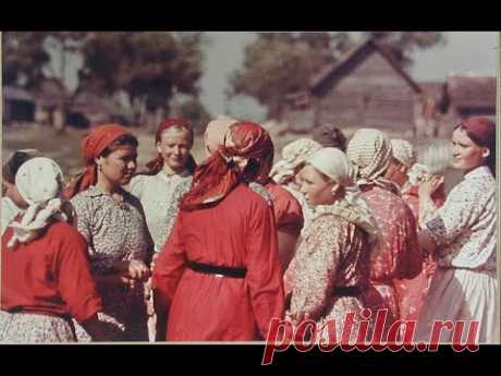 Немецкие фотографии Русской деревни / German photos of a Russian village: 1942-1943