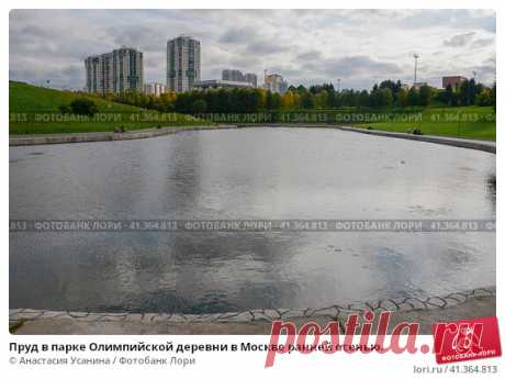 Пруд в парке Олимпийской деревни в Москве ранней осенью. (2016 год) Редакционное фото, фотограф Анастасия Усанина / Фотобанк Лори