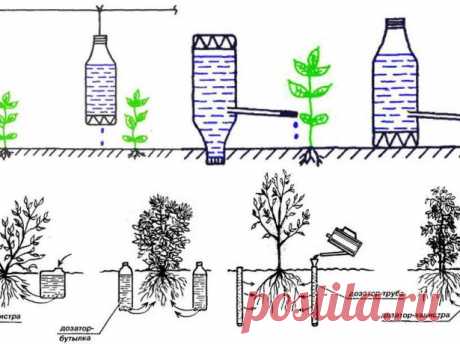 Делаем капельный полив своими руками из пластиковых бутылок: инструкции с фото и отзывы