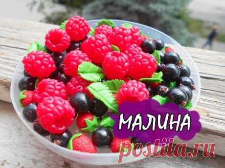 ПОЛАЯ МАЛИНА ИЗ ЦЕРНИТА! / RASPBERRY FROM CERNIT * МАСТЕР-КЛАСС * DIY