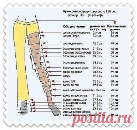 Какой длины бывают брюки. Сохраните себе