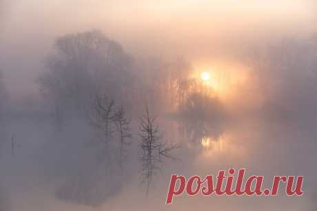 «Магия тумана». Автор фото — Татьяна Белякова: nat-geo.ru/photo/user/47381/