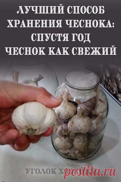 Многие, кто выращивает чеснок, знают, что он портится еще до того, как наступит новый сезон. Если вы будете правильно хранить чеснок, то больше не столкнетесь с этой проблемой.