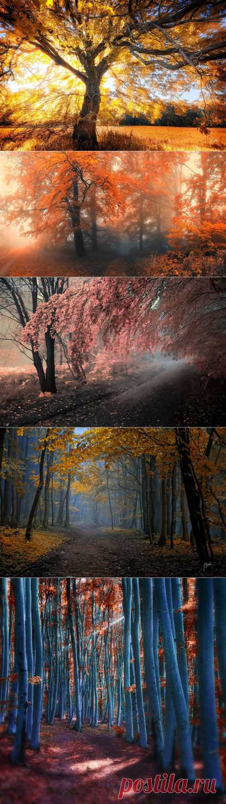 Чешский фотограф Janek Sedlar.