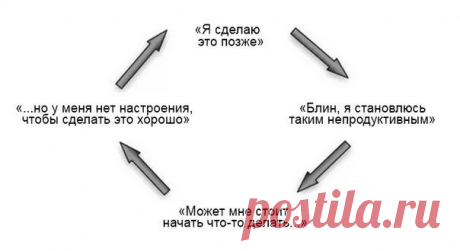 Есть два главных способа заставить себя что-то cделать... / Основы бизнеса