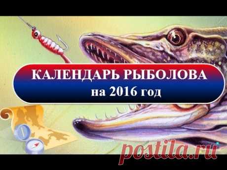 Календарь рыболова на 2016 год - YouTube