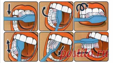 Исследователи рассказали, когда на самом деле стоит чистить зубы