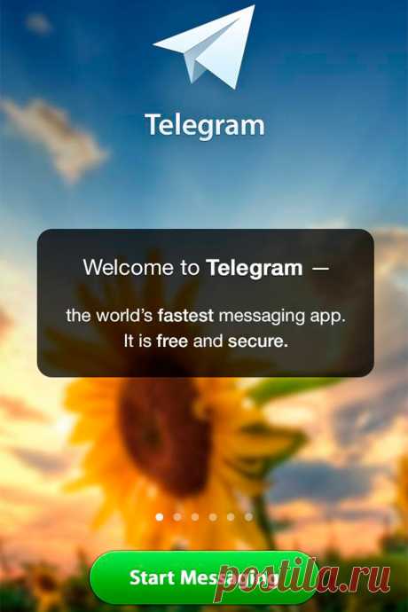 Дуров показал, как выглядел Telegram около 11 лет назад перед запуском. Telegram 14 августа исполнилось десять лет. По этому случаю в мессенджере были запущены истории, что Дуров назвал «новым этапом». На скринах Telegram перед запуском видно, что там могла быть функция постинга фото и видео в профиль